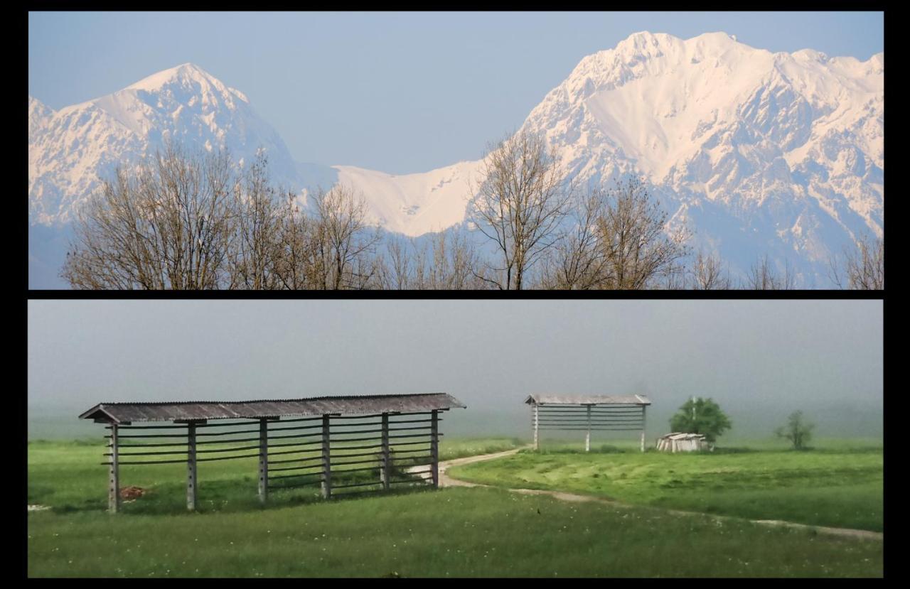 Mamut Stay Kamnik Esterno foto